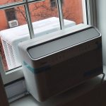 IMG_20250216_112357