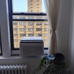 IMG_20250428_100647
